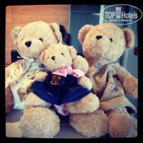 фото из отзыва ID 854039