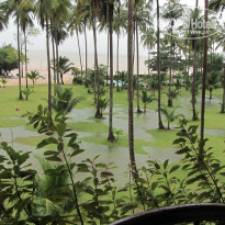 фото из отзыва ID 854124