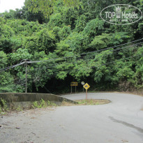 фото из отзыва ID 854124