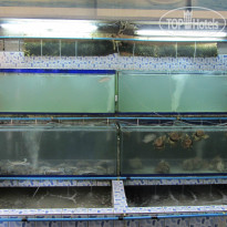 фото из отзыва ID 854124