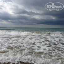 фото из отзыва ID 854167