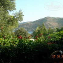 фото из отзыва ID 854299