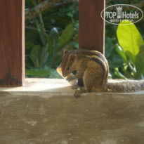 фото из отзыва ID 854369