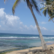 фото из отзыва ID 854369