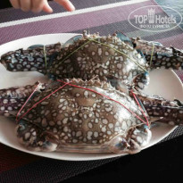 фото из отзыва ID 854499