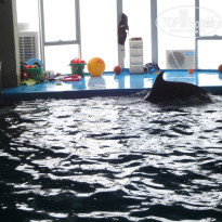 фото из отзыва ID 854805