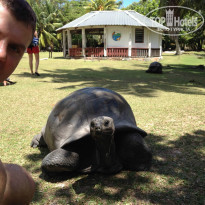 фото из отзыва ID 854853