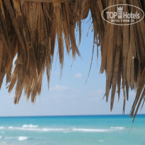 фото из отзыва ID 854909