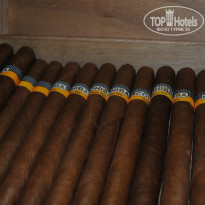 фото из отзыва ID 854909