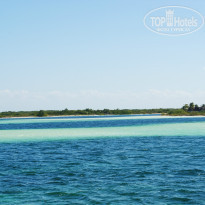 фото из отзыва ID 854909