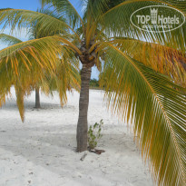 фото из отзыва ID 854909