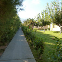 фото из отзыва ID 854890