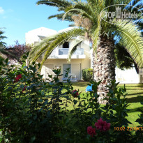 фото из отзыва ID 854890