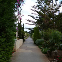 фото из отзыва ID 854890