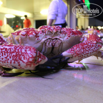 фото из отзыва ID 854269