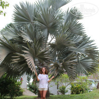 фото из отзыва ID 855335