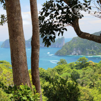 фото из отзыва ID 855335