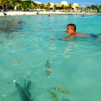 фото из отзыва ID 855341