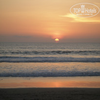 фото из отзыва ID 855382