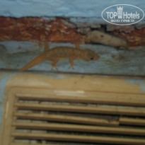 фото из отзыва ID 855471