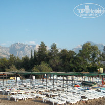 фото из отзыва ID 855040