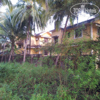 фото из отзыва ID 855508