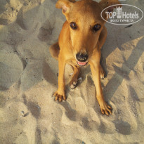 фото из отзыва ID 855508