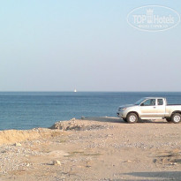 фото из отзыва ID 855562