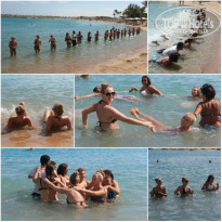 фото из отзыва ID 855570