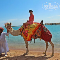 фото из отзыва ID 855570