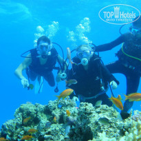 фото из отзыва ID 855570