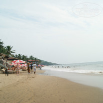 фото из отзыва ID 855608