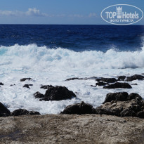 фото из отзыва ID 855686