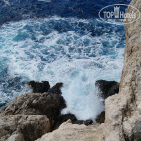 фото из отзыва ID 855686