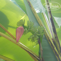 фото из отзыва ID 855883