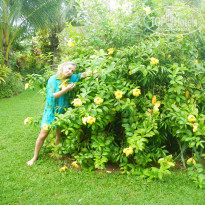 фото из отзыва ID 855883