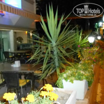 фото из отзыва ID 855885