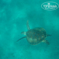 фото из отзыва ID 855254