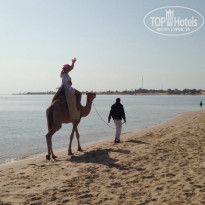 фото из отзыва ID 855893