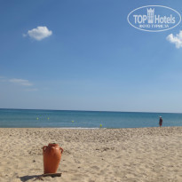 фото из отзыва ID 855953