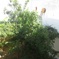 фото из отзыва ID 855953