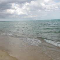 фото из отзыва ID 855953