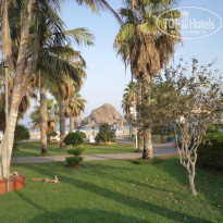 фото из отзыва ID 856000