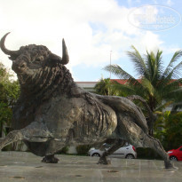 фото из отзыва ID 856066