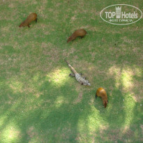 фото из отзыва ID 856066