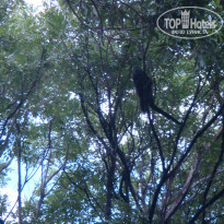 фото из отзыва ID 856066