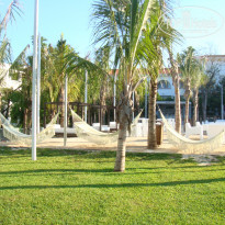 фото из отзыва ID 856066