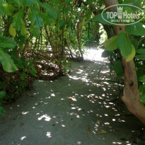 фото из отзыва ID 856147