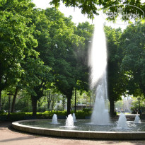 фото из отзыва ID 856169