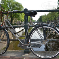 фото из отзыва ID 856169